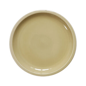 Clay Green Casual Dining Plate